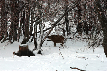 Similar image 991254