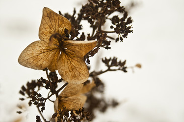 Similar image 991263