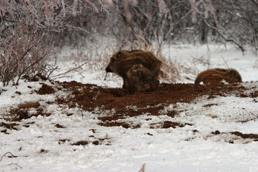 Similar image 991265