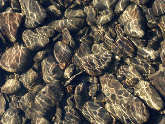 Similar image 991369