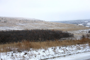 Similar image 991370