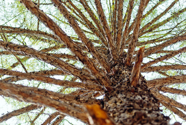 Similar image 991371