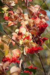 Similar image 991374