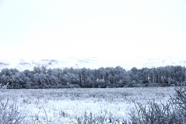 Similar image 991378