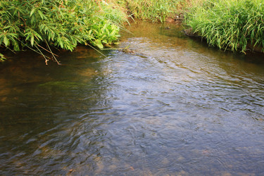 Similar image 991490