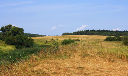 Similar image 991494