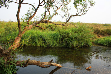 Similar image 991498