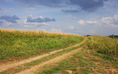 Similar image 991507