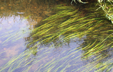 Similar image 991518