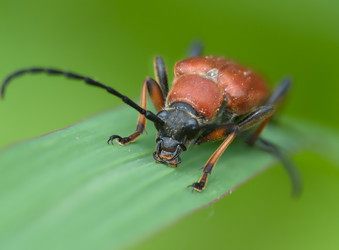 Similar image 991560