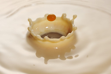 Similar image 992028