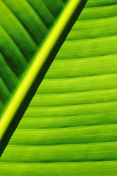 Similar image 992069