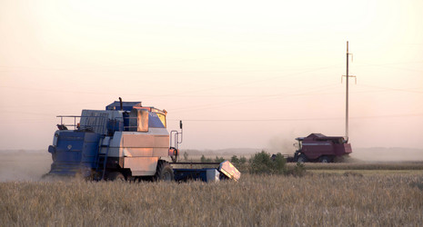 Similar image 992357