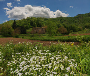 Similar image 992395