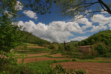 Similar image 992398