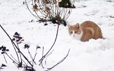 Similar image 992403