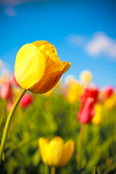 Similar image 992406