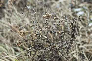 Similar image 992442