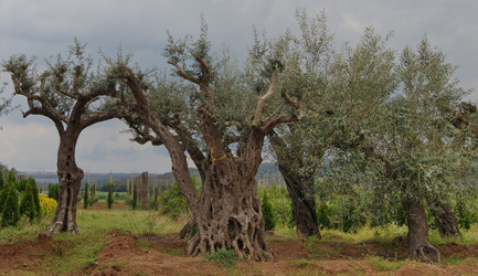 Similar image 992448