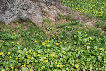 Similar image 992450