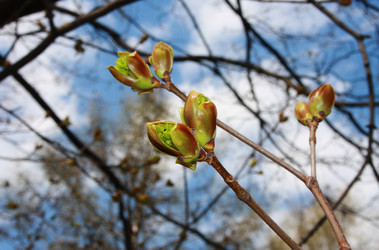 Similar image 992453