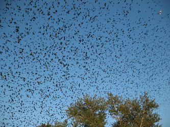 Similar image 992457