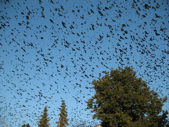 Similar image 992458