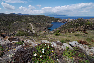 Similar image 992477