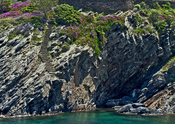 Similar image 992479