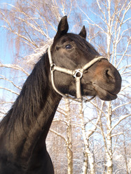 Similar image 992511