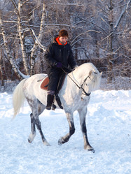 Similar image 992512