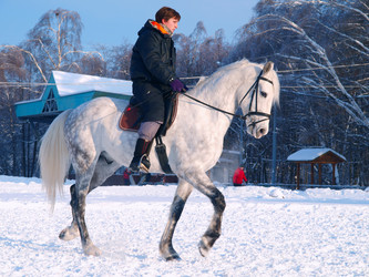 Similar image 992513