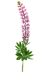 Similar image 992543