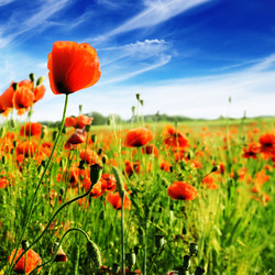 Similar image 992553