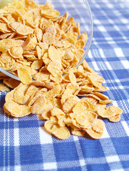 Similar image 992649