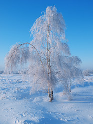 Similar image 992652