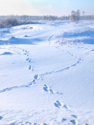 Similar image 992659