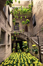 Similar image 992812