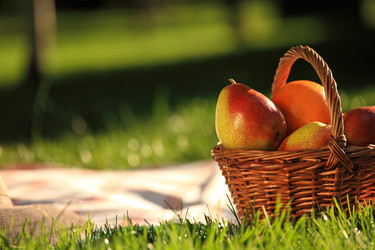 Similar image 992953