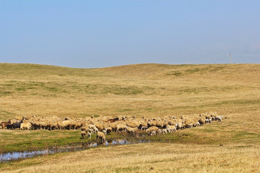 Similar image 993154