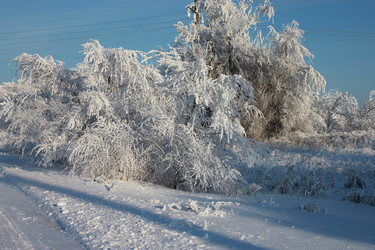 Similar image 993170