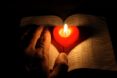 Similar image 993330