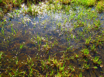 Similar image 993655