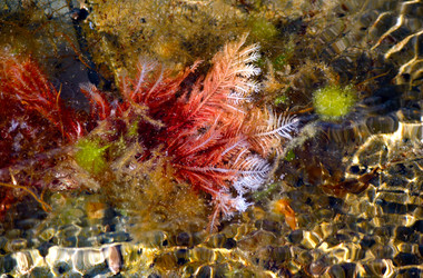 Similar image 993692