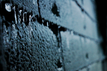 Similar image 993725