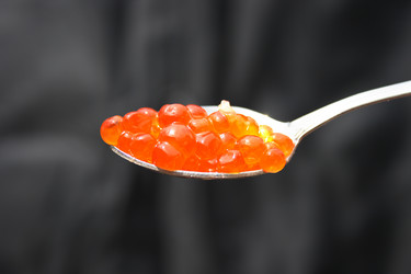 Similar image 993889