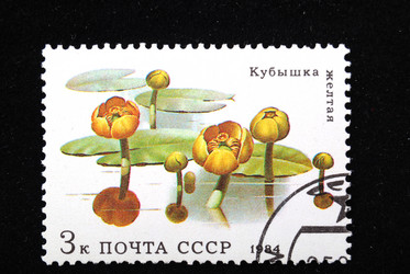 Similar image 993892