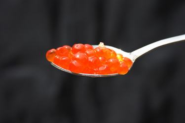 Similar image 993895