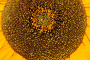 Similar image 993937