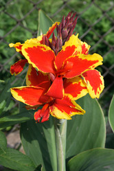 Similar image 993973